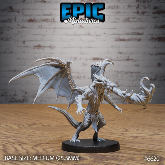 Draconic Obsidian Demon Dragon Demon DND Miniature TTRPG Resin Figure 25mm Base