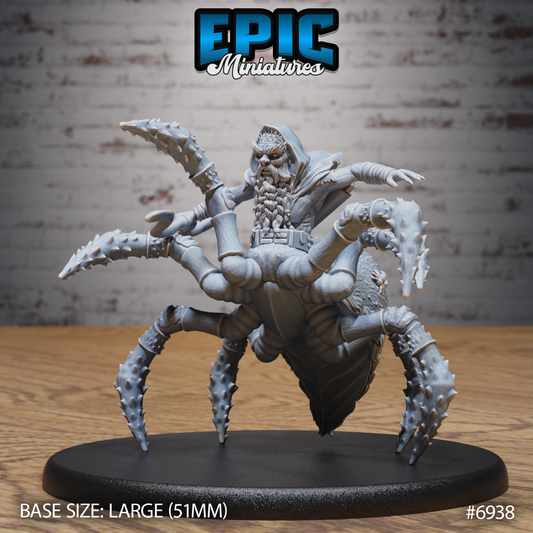 Dwarf Drider DND TTRPG Resin Model 51mm Base
