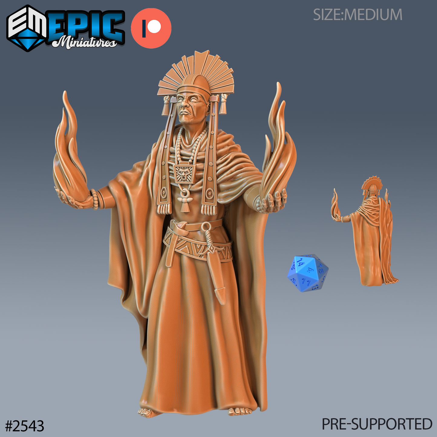 Shaman Chief DND Miniature TTRPG Resin Figure 25mm Base
