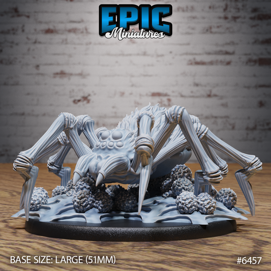 Dire Spider | Giant Venomous Arachnid | Resin Tabletop RPG Figure | 51mm Base
