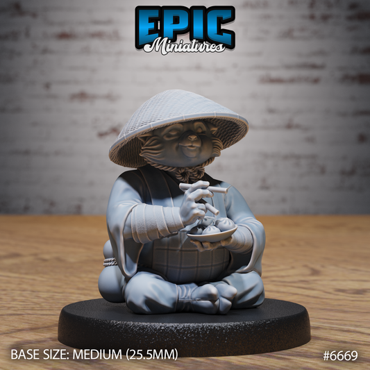 Red Panda Monk DND Miniature TTRPG Resin Figure 25mm Base