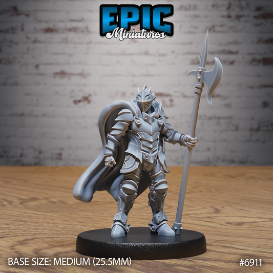 Heavy Knight DND Miniature TTRPG Resin Figure 25mm Base