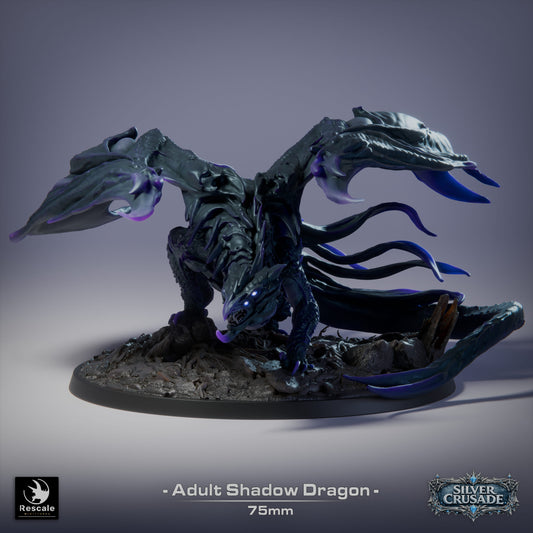 Shadow Dragon Large D&D Miniature | Dark Dragon Boss Figure for Dungeons and Dragons | Resin Tabletop RPG Model | 75mm Base