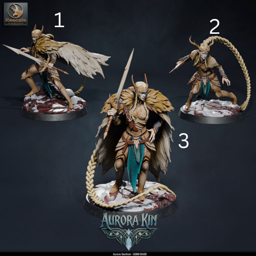 Aurora Sentinels DND Miniatures TTRPG Resin Figures 32mm Base