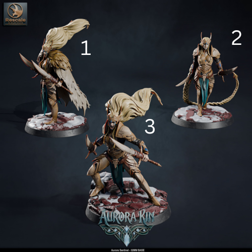 Aurora Sentinels DND Miniatures TTRPG Resin Figures 32mm Base
