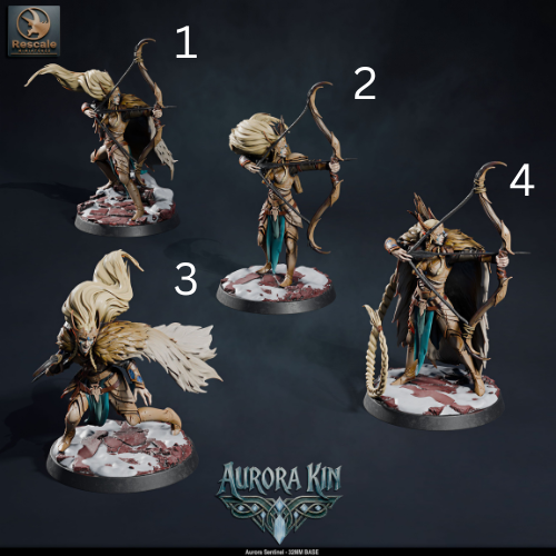 Aurora Sentinels DND Miniatures TTRPG Resin Figures 32mm Base