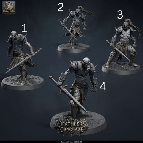 Revenant Warriors DND TTRPG Resin Miniatures 32mm Base