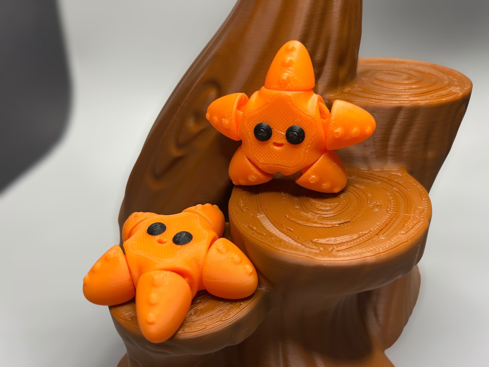 Star Fish Mini Fidget