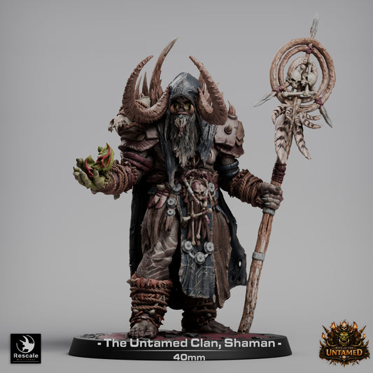 Orc Shaman D&D Miniature | Tribal Orc Spellcaster Figure | Resin 3D Printed Tabletop RPG Model | 40mm Base